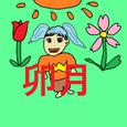 卯月