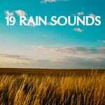 19 Rain Sounds to Induce Deep and Natural Sleep and Relaxation专辑