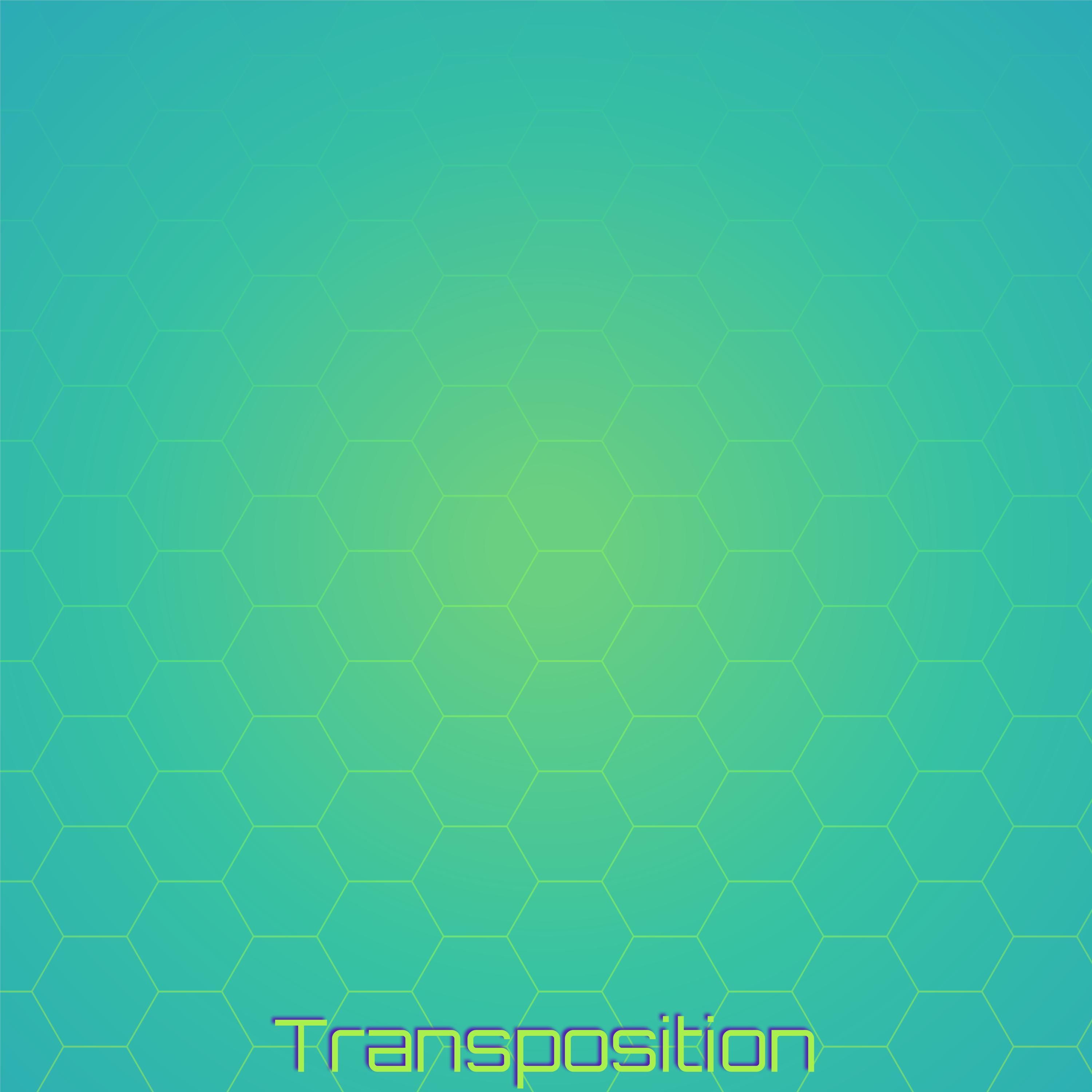 Dinore Lier - Transposition