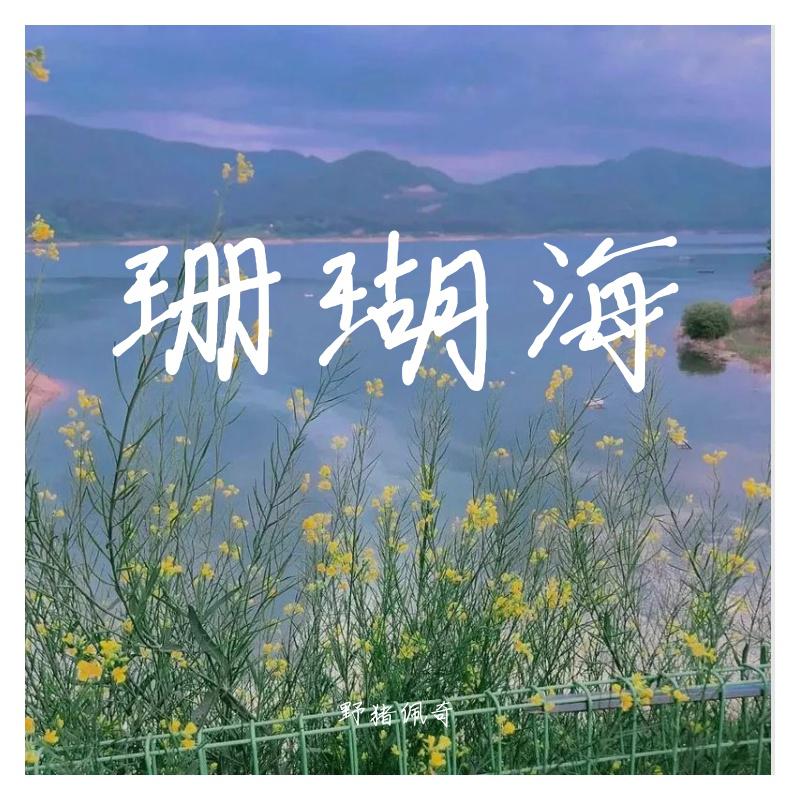 野猪佩奇 - 珊瑚海