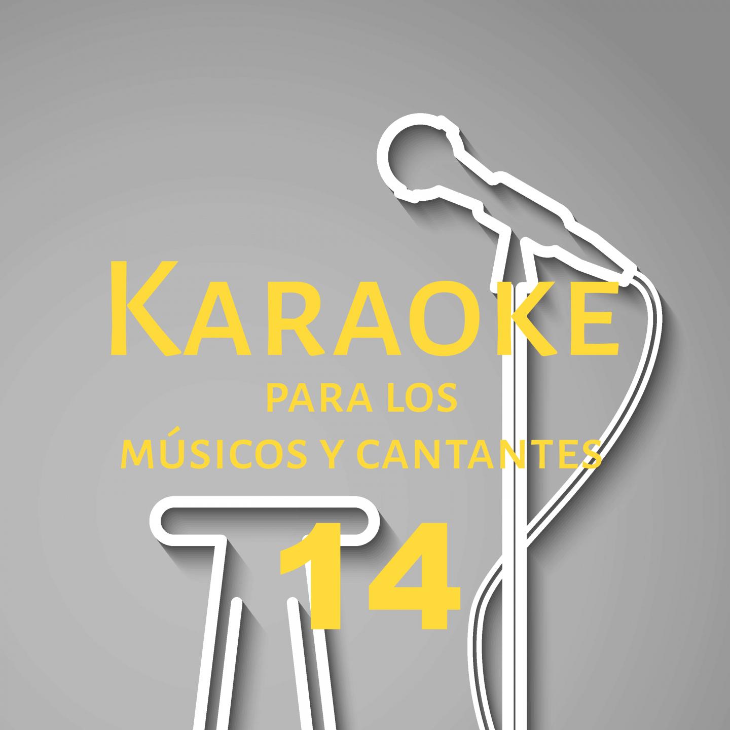 Karaoke para los músicos y cantantes, Vol. 14专辑