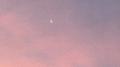 As I watched the moon专辑