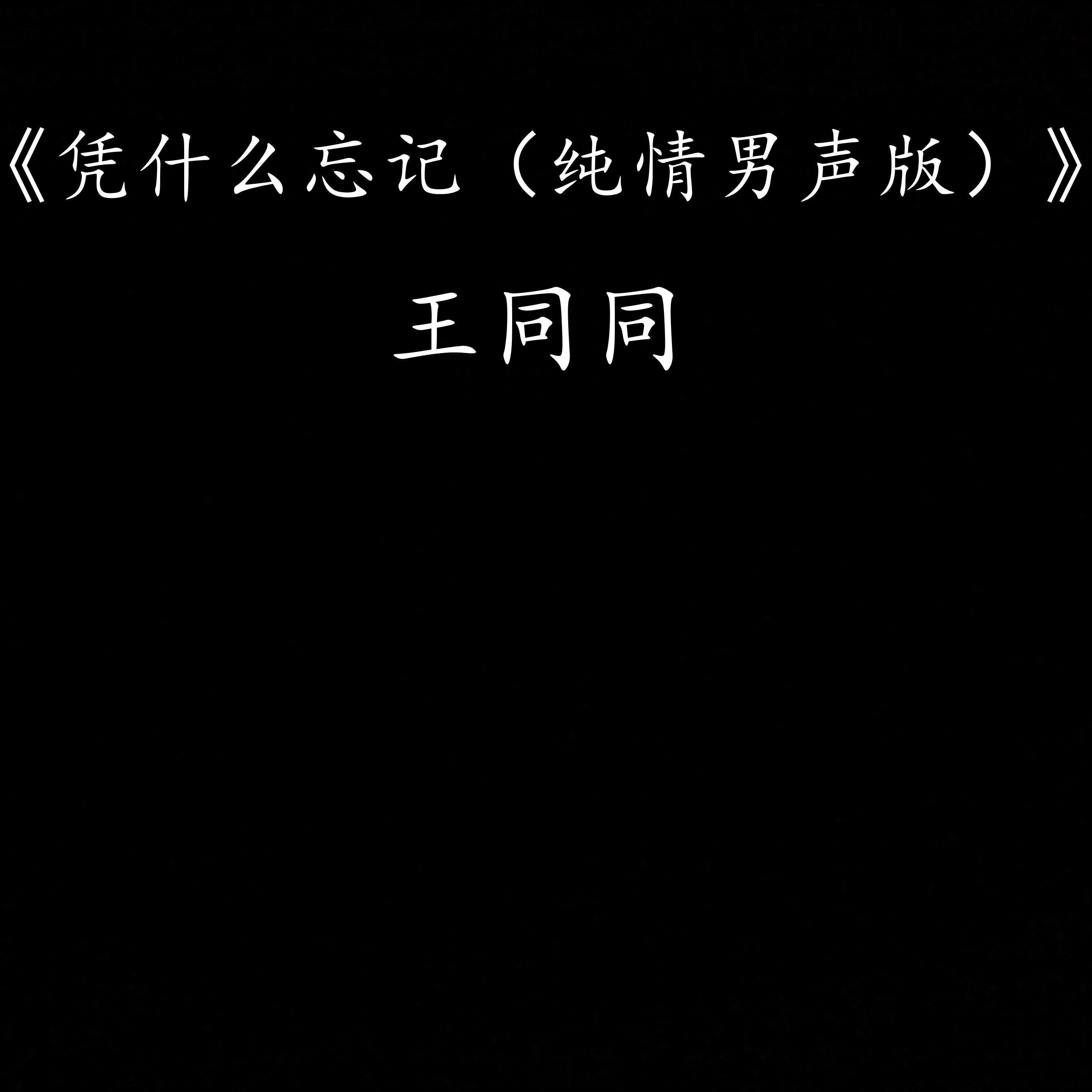 王同同 - 凭什么忘记（纯情男声版）