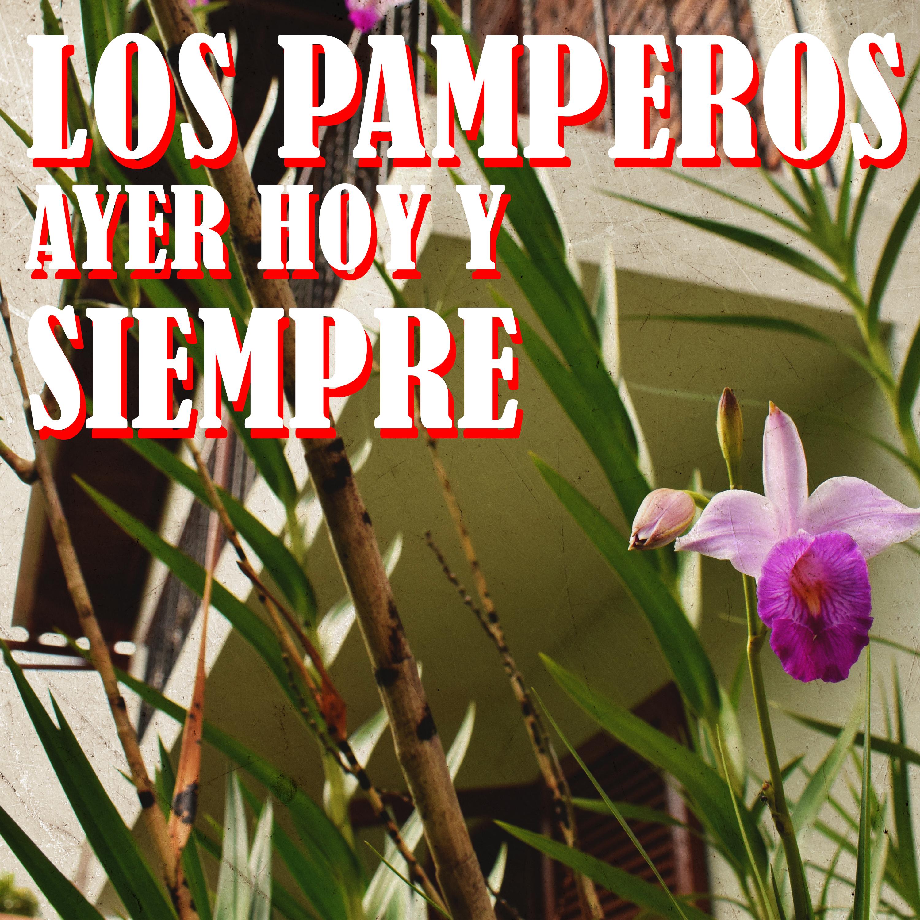 Los Pamperos Ayer Hoy y Siempre
