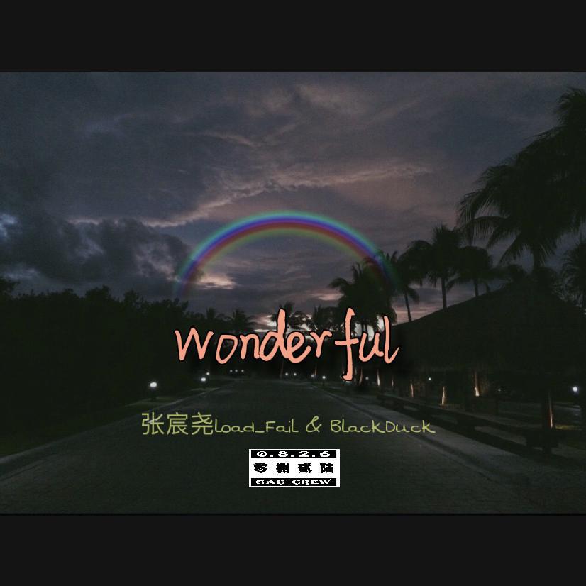 wonderful专辑