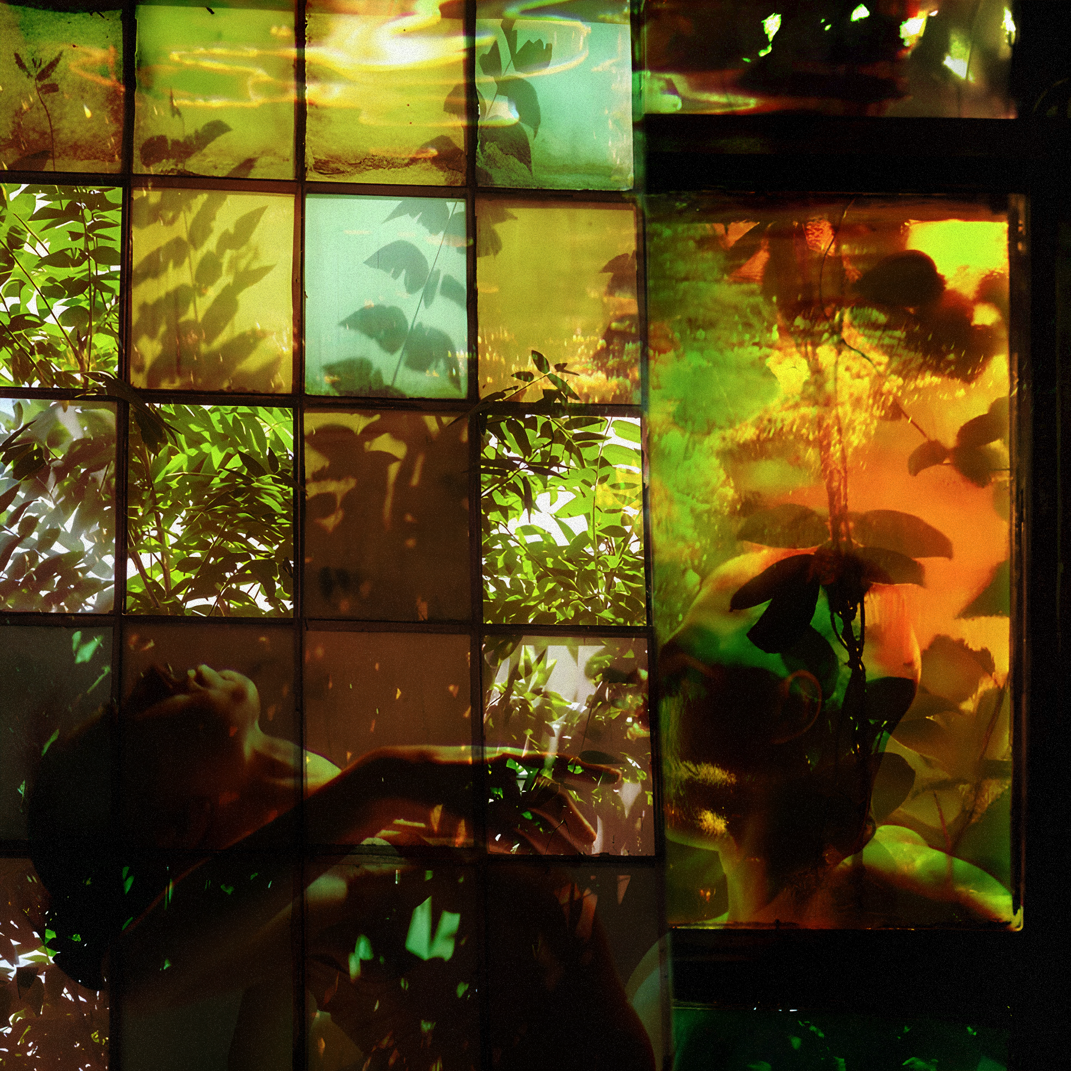 綠皮書(Green Book)