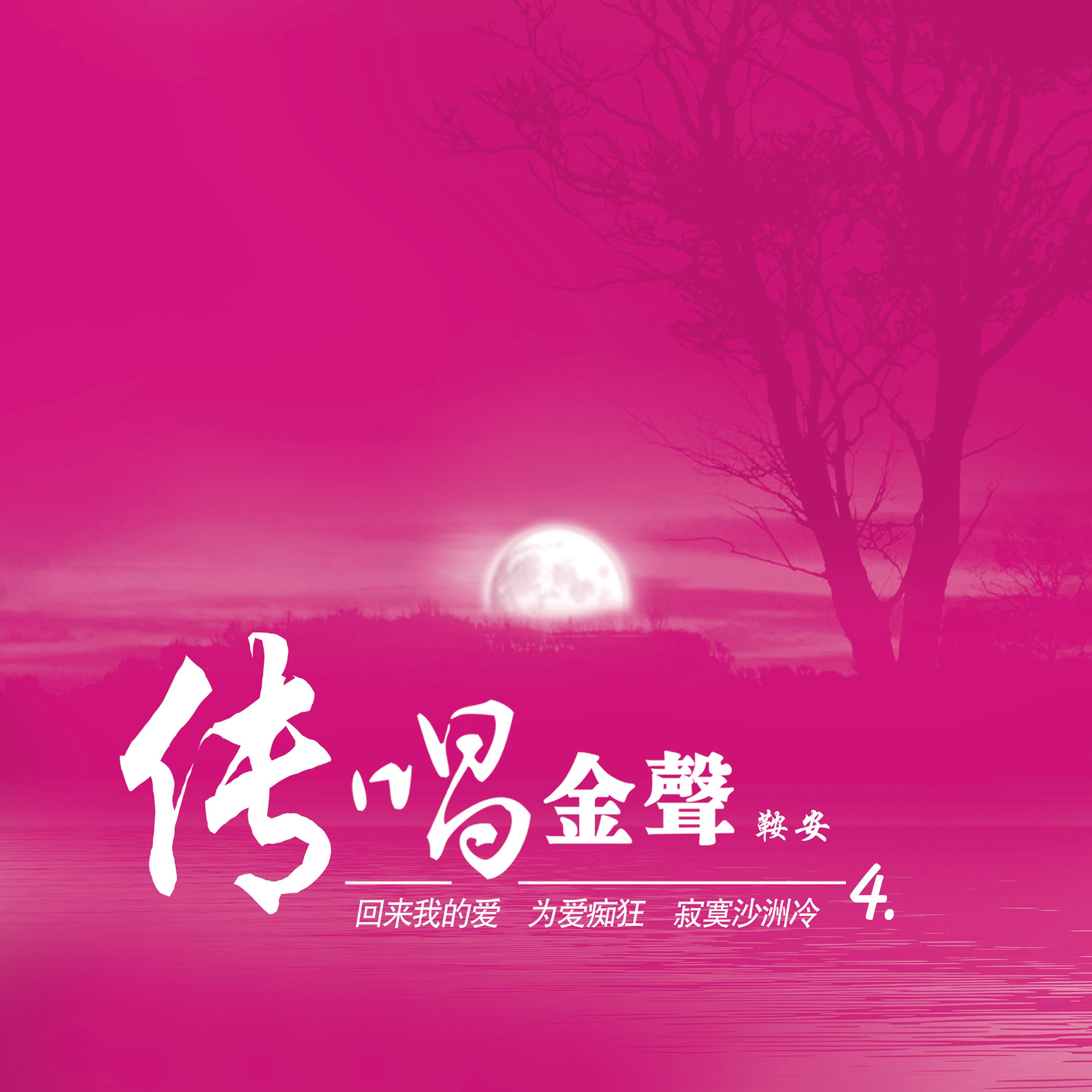 传唱金声4 (翻唱)