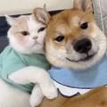 We