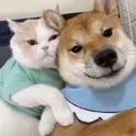 We