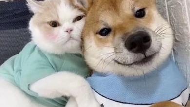 We