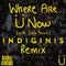 Where Are Ü Now (Indiginis Remix)专辑