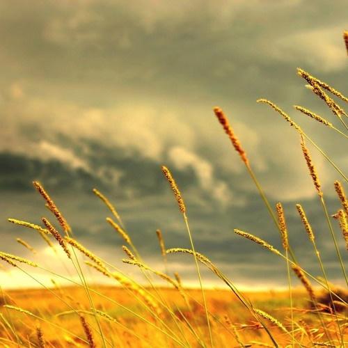 Moments In Time (Original Mix)