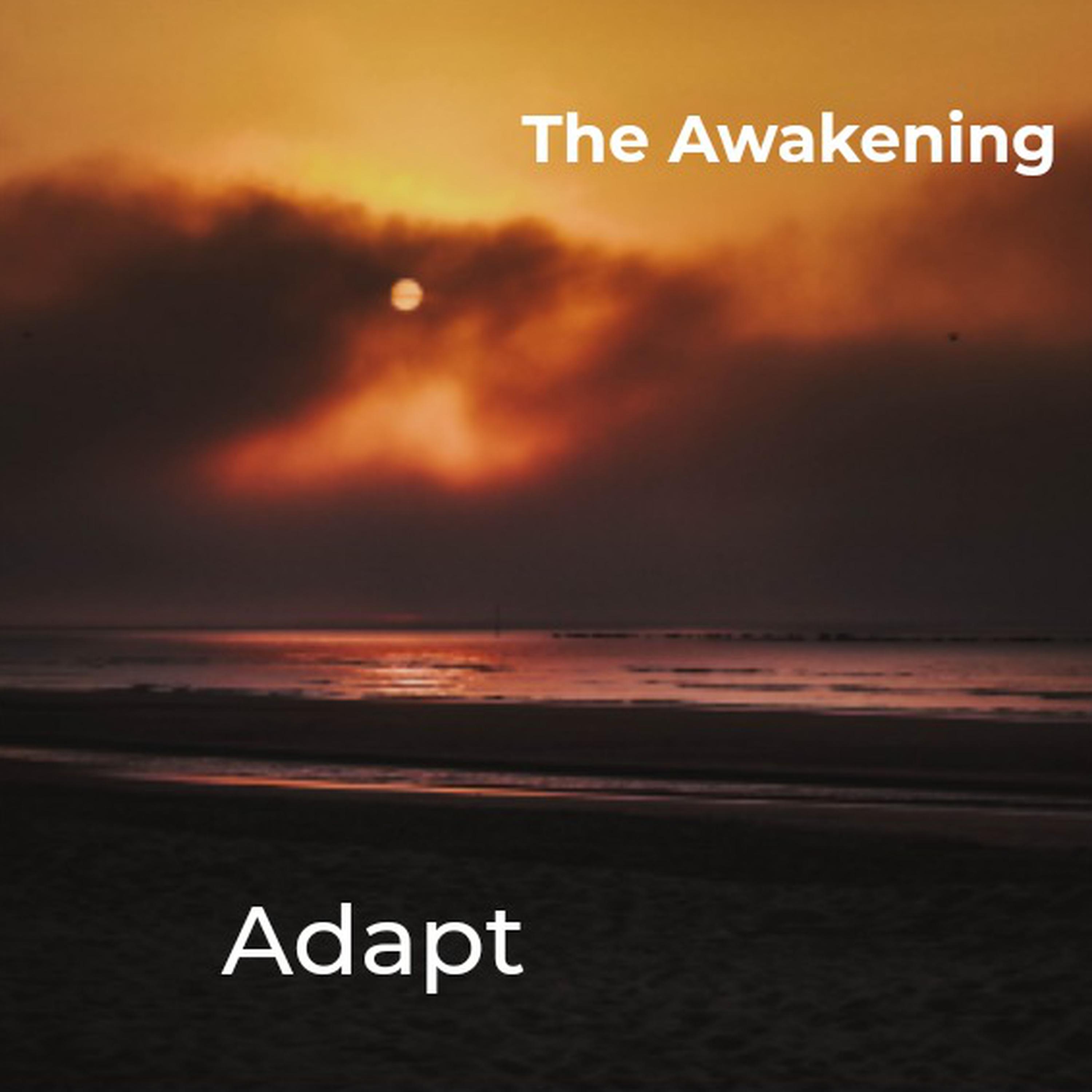 The Awakening