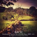 Bach: Brandenburg Concerto No. 6 in B Flat Major, BWV. 1051
