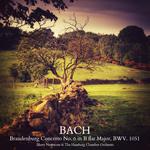 Brandenburg Concerto No. 6 in B flat Major, BWV. 1051: II. Adagio ma non troppo