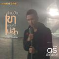 อ้ายฮักเขา ตอนเจ้าบ่ฮัก (Cover) - Single