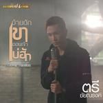 อ้ายฮักเขา ตอนเจ้าบ่ฮัก (Cover) - Single专辑