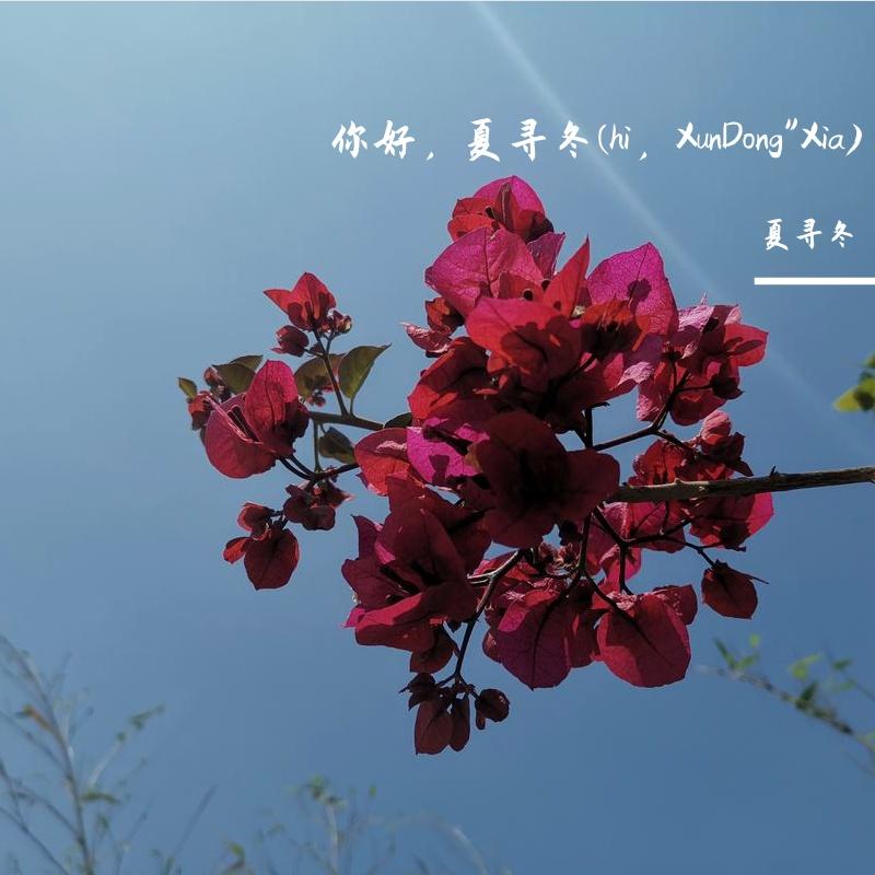 你好，夏寻冬(hi，XunDong"Xia)