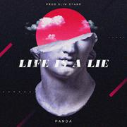 生活是个谎言Life is a lie（proud by Slim Dyane）