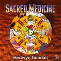 Sacred Medicine专辑