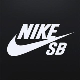 只 穿 假 的 N I K E
