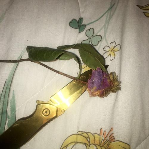 im going to miss you