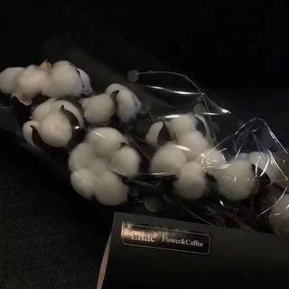 伤感｜一起度过低沉岁月