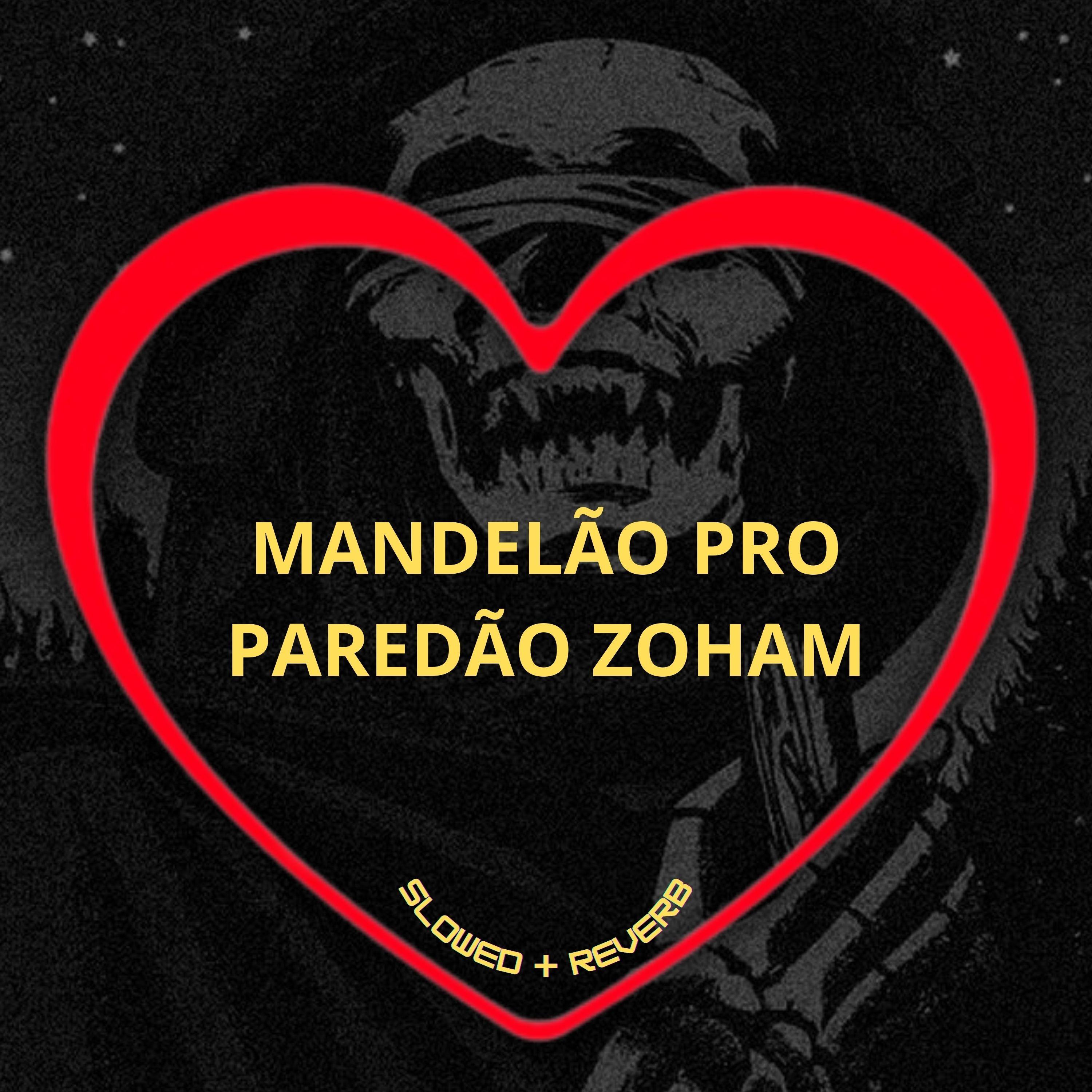 Love Fluxos - Mandelão pro Paredão Zoham (Slowed + Reverb)
