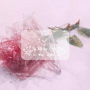 La Vie en Rose