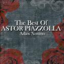 The Best Of Astor Piazzolla - Adios Nonino专辑