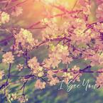 专辑《I See You》