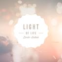 Light of Life专辑