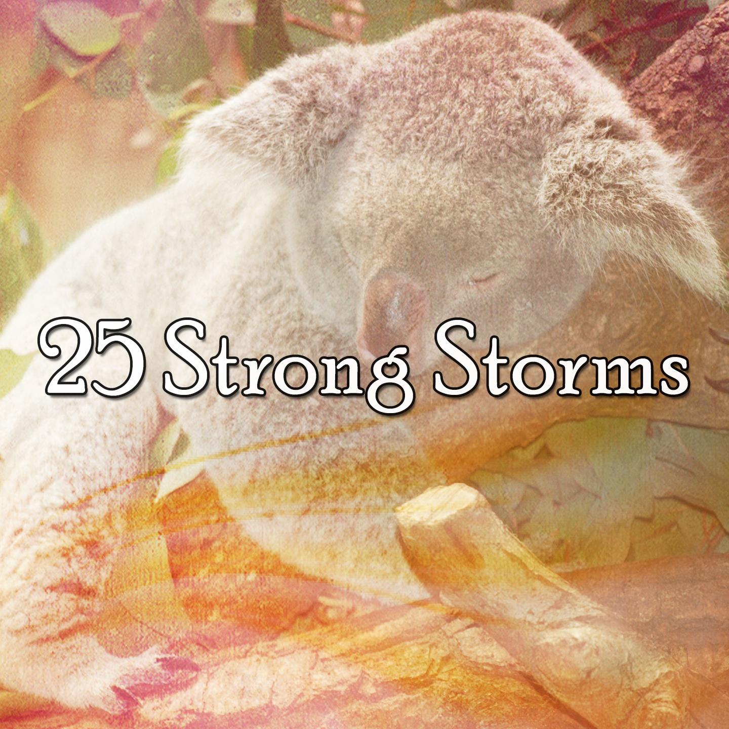 25 Strong Storms专辑