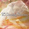 25 Strong Storms