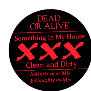 Something In My House (XXX Clean And Dirty)