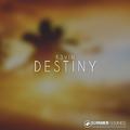 Destiny