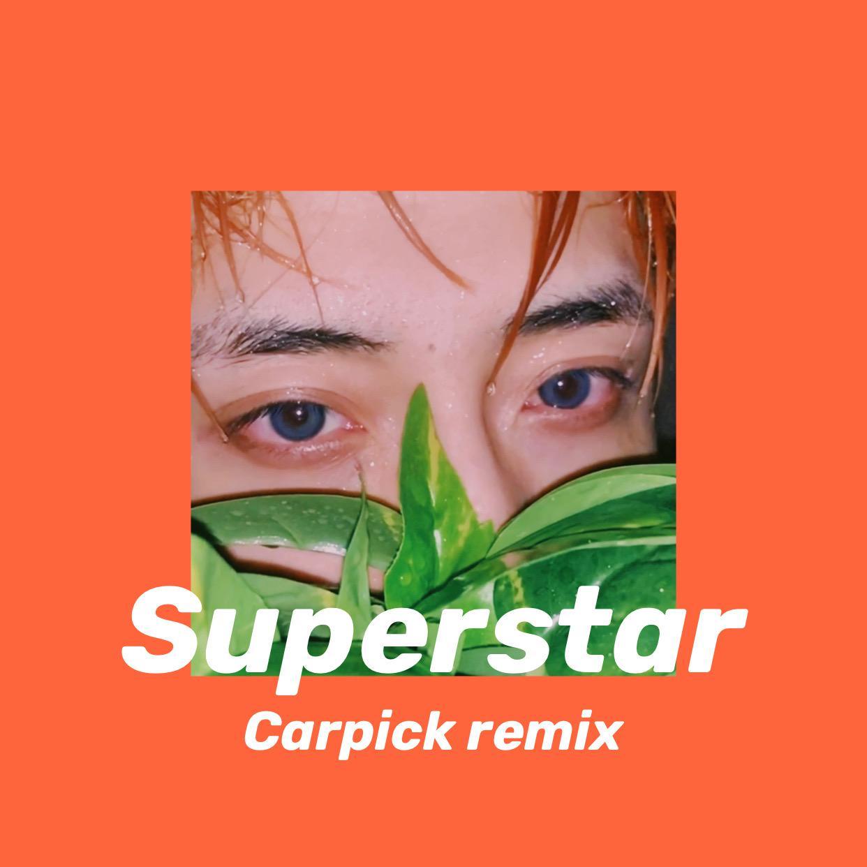 David Puentez-Superstar（Carpick remix）