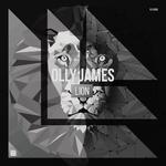 Olly James,Zedd,Thomas Newson,MakJ,New Normal-Lion (ONE EDIT)（ONE Remix）