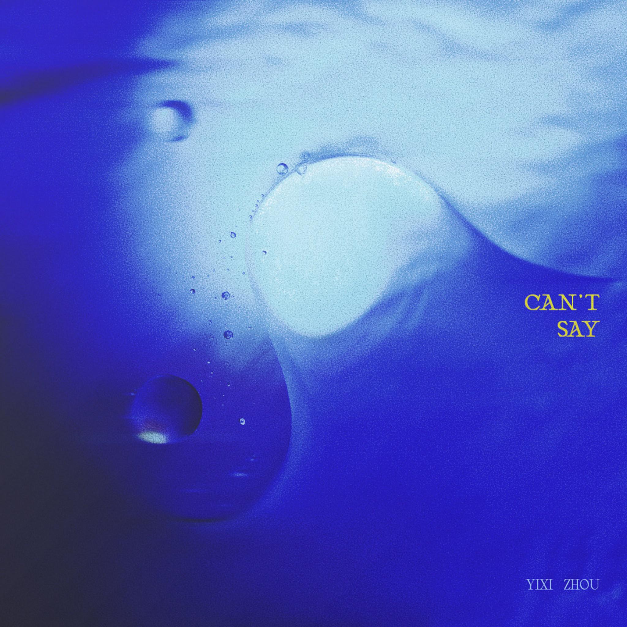 Can't Say专辑