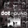RayKaz - Dog Pound