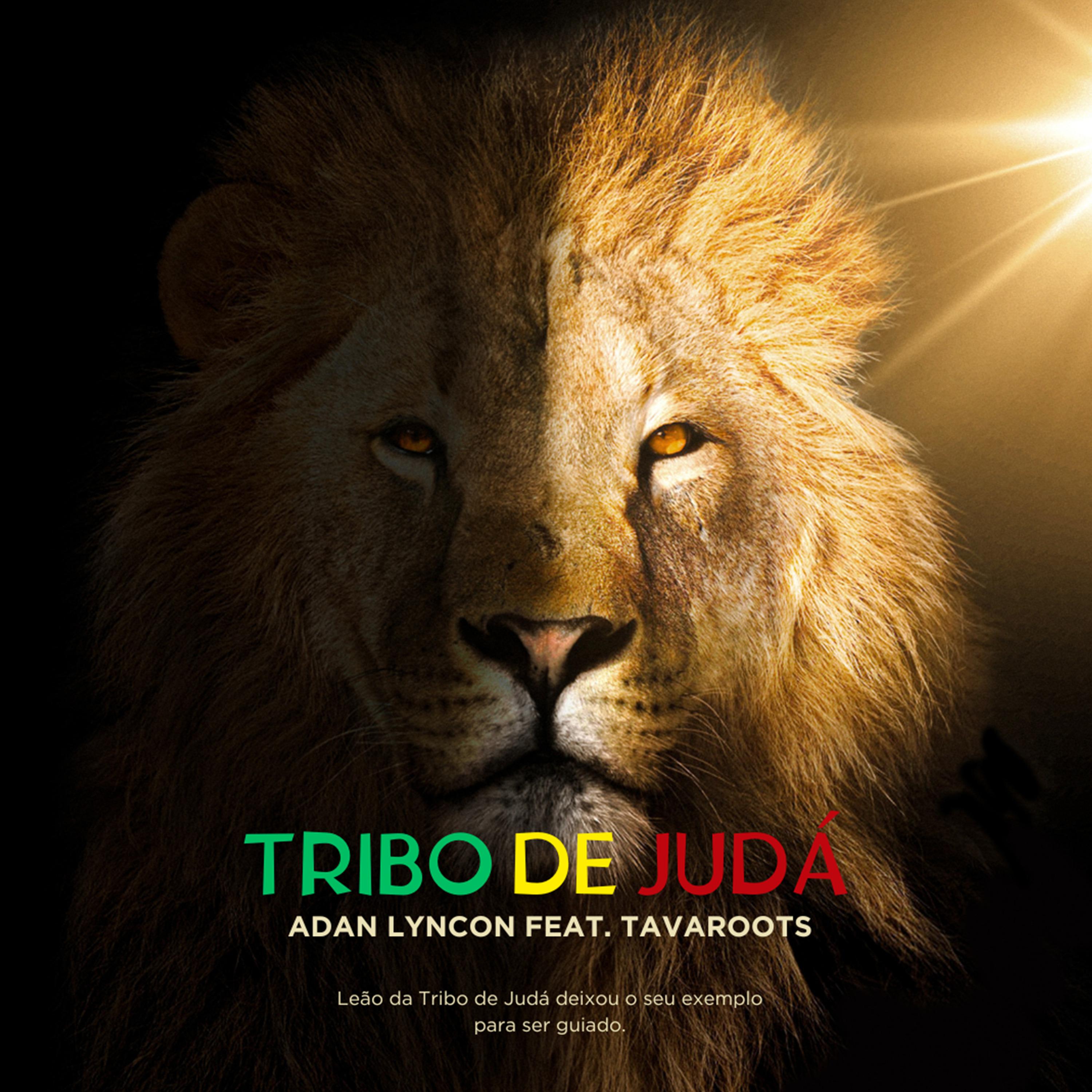 Lyncon Tribo de Judá - Adan Lyncon/TavaRoots - 单曲 - 网易云音乐
