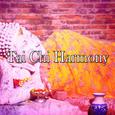 Tai Chi Harmony