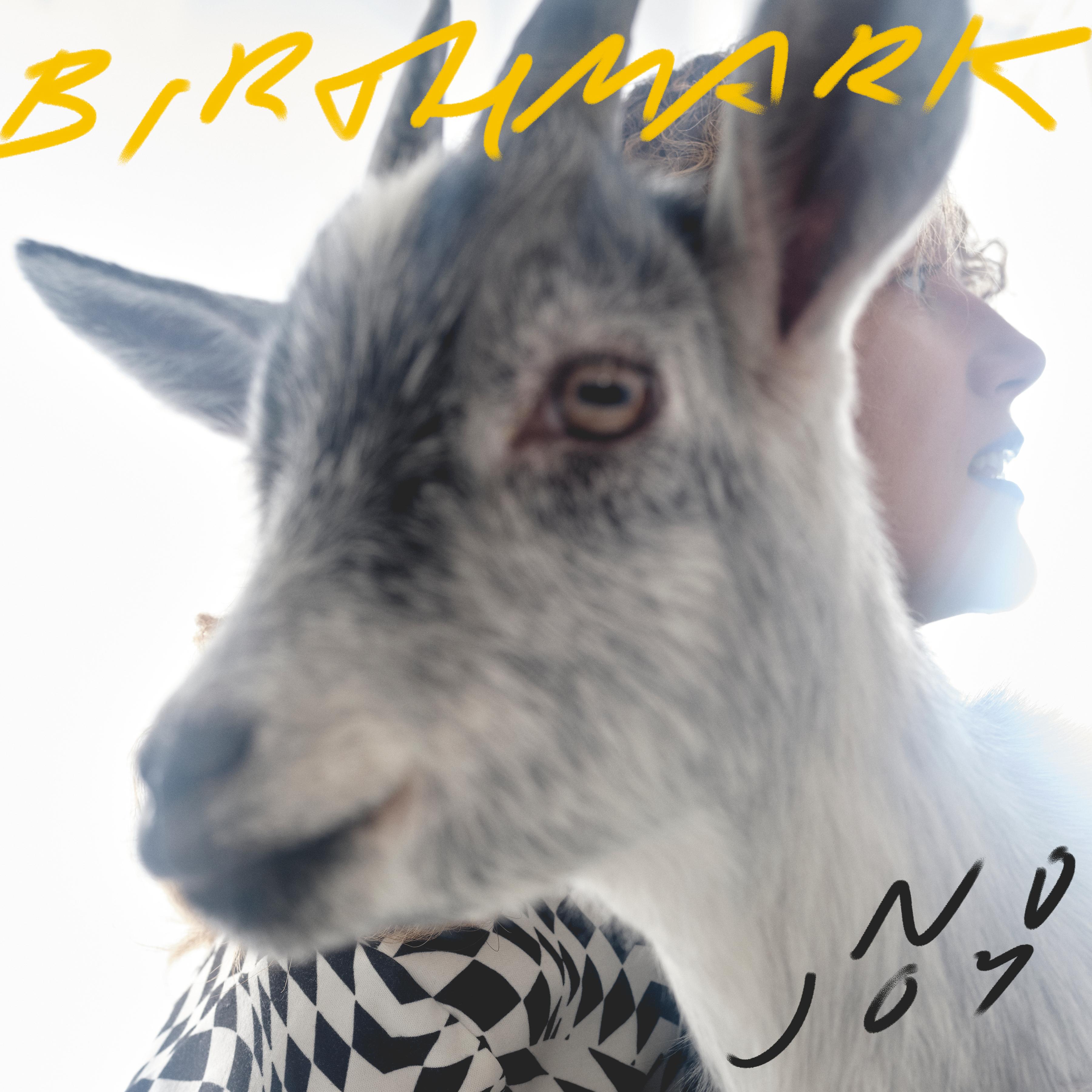 Birthmark