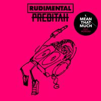 Rudimental & Preditah & Morgan - Mean That Much (Instrumental) 原版无和声伴奏