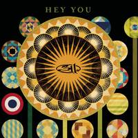 311 - Hey You