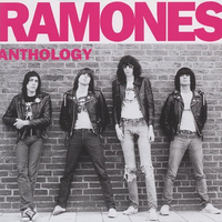 原版伴奏   The Kkk Took My Baby Away - The Ramones (karaoke)