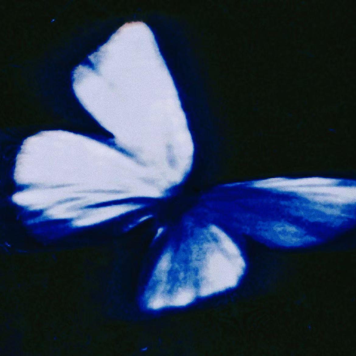 残破*（Prod.yvngwav）