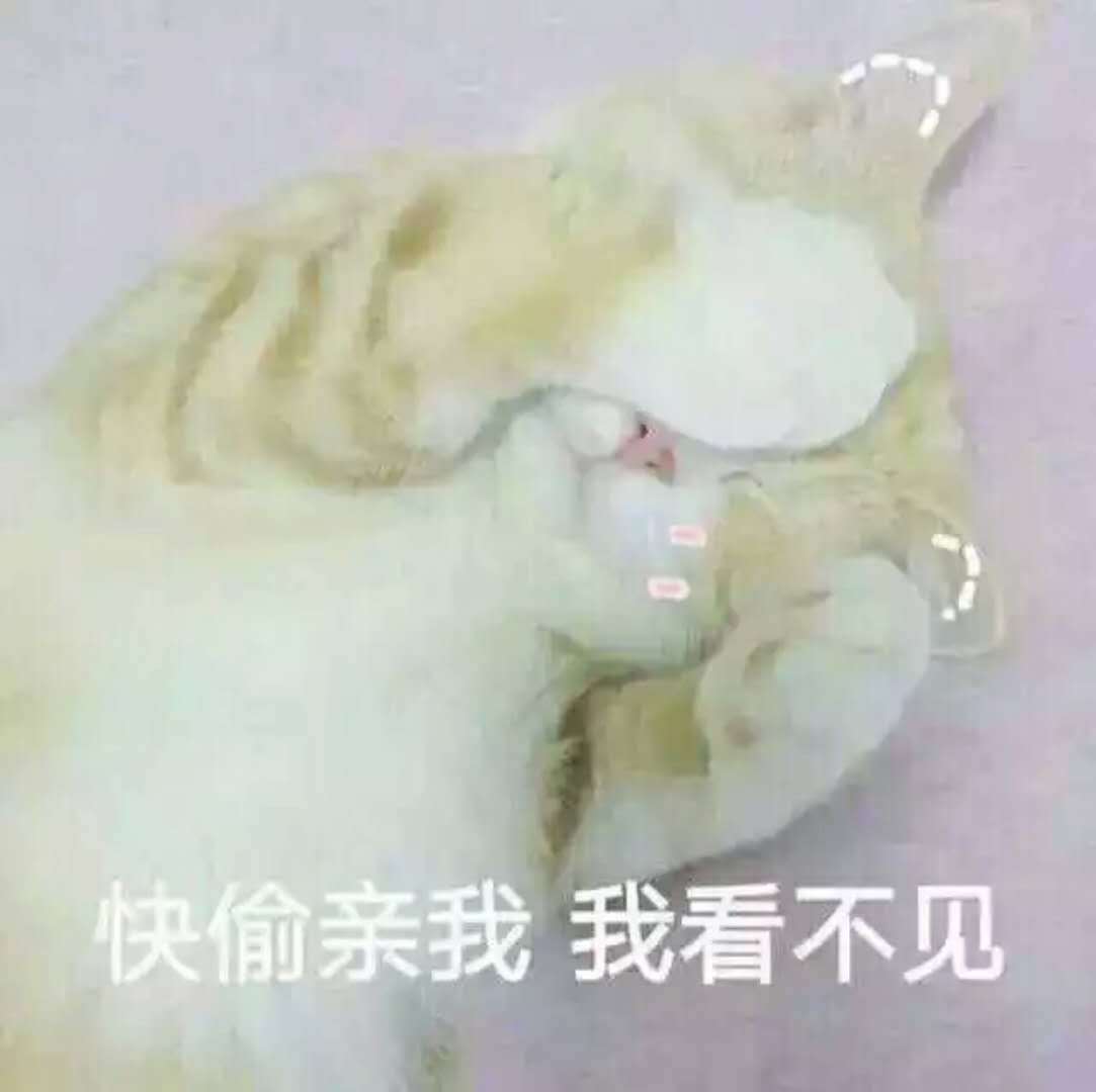 想你专辑