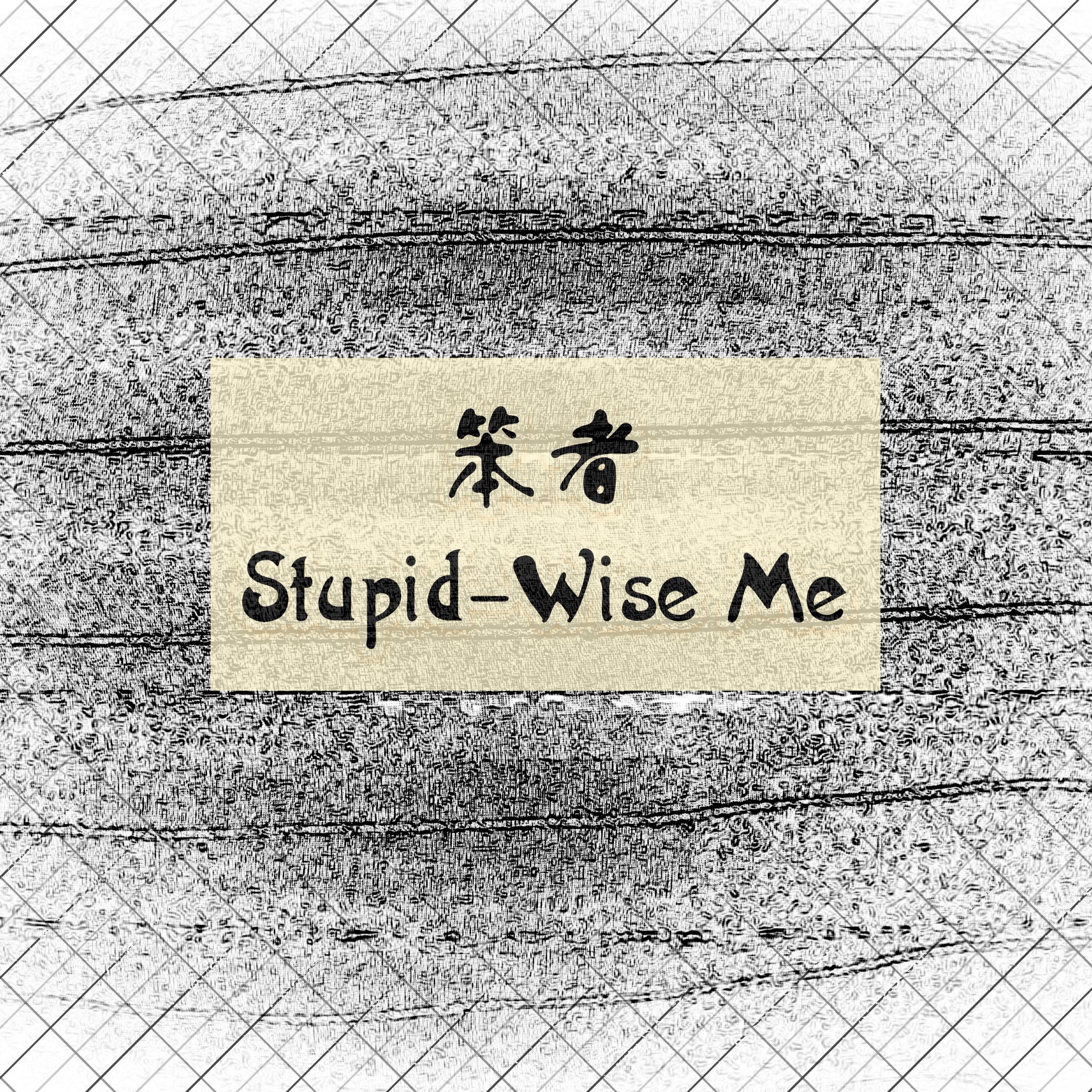 笨者（Stupid-Wise Me）专辑