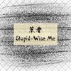 笨者（Stupid-Wise Me）专辑